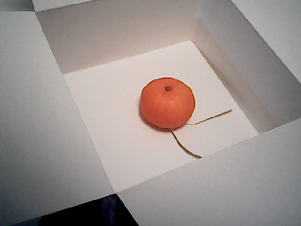 こどもちゃれんじ,カメラ,付録,2020,デジタルカメラ,口コミ,体験談