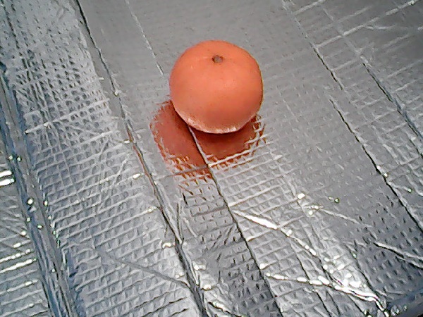 こどもちゃれんじ,カメラ,付録,2020,デジタルカメラ,口コミ,体験談