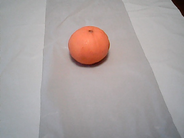 こどもちゃれんじ,カメラ,付録,2020,デジタルカメラ,口コミ,体験談