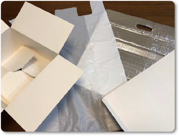 こどもちゃれんじ,カメラ,付録,2020,デジタルカメラ,口コミ,体験談