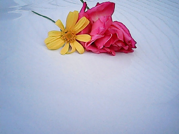 こどもちゃれんじ,カメラ,付録,2020,デジタルカメラ,口コミ,体験談